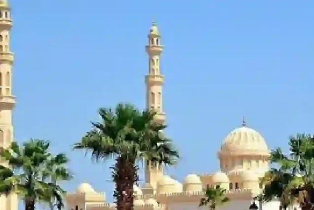 Private tour guide explaining Hurghada history.