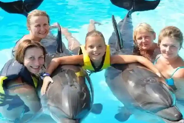 Happy family playing and dancing with a dolphin in Hurghada.