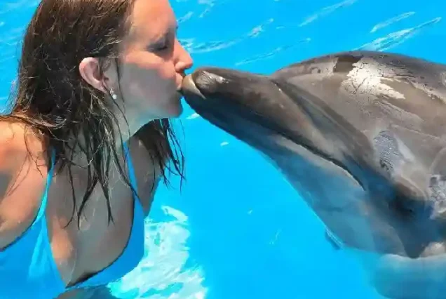 Romantic duo dolphin swimming package for couples in Hurghada.
