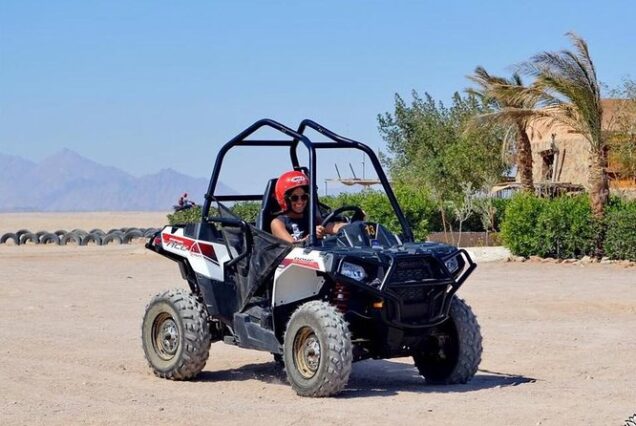 A buggy and a woman driving it