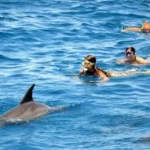 Hurghada Snorkeling Trip