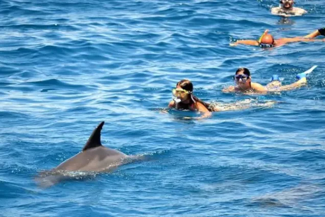 Hurghada Snorkeling Trip
