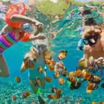 Coral Reef and Snorkeling Tour Manolo Tours- Hurghada's
