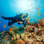 Professional scuba diving gear mask fins and tanks Hurghada.