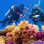 Manolo Tours professional diving instructor helping a beginner.