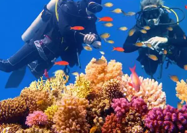 Manolo Tours professional diving instructor helping a beginner.