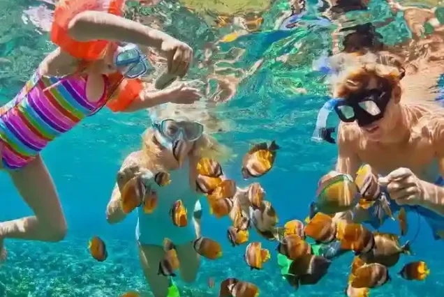 Snorkeling stop at Red Sea coral reefs with Manolo Tours Egypt.