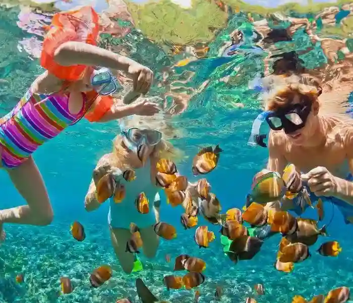 Family snorkeling with tropical fish on Hurghada private tours