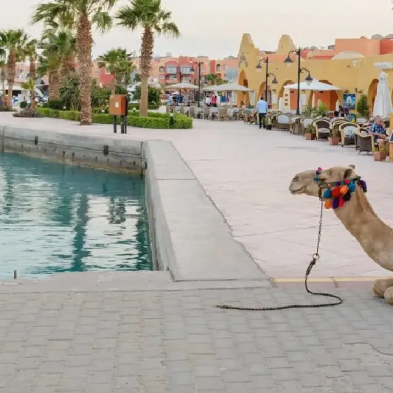 Ausflüge ab Hurghada