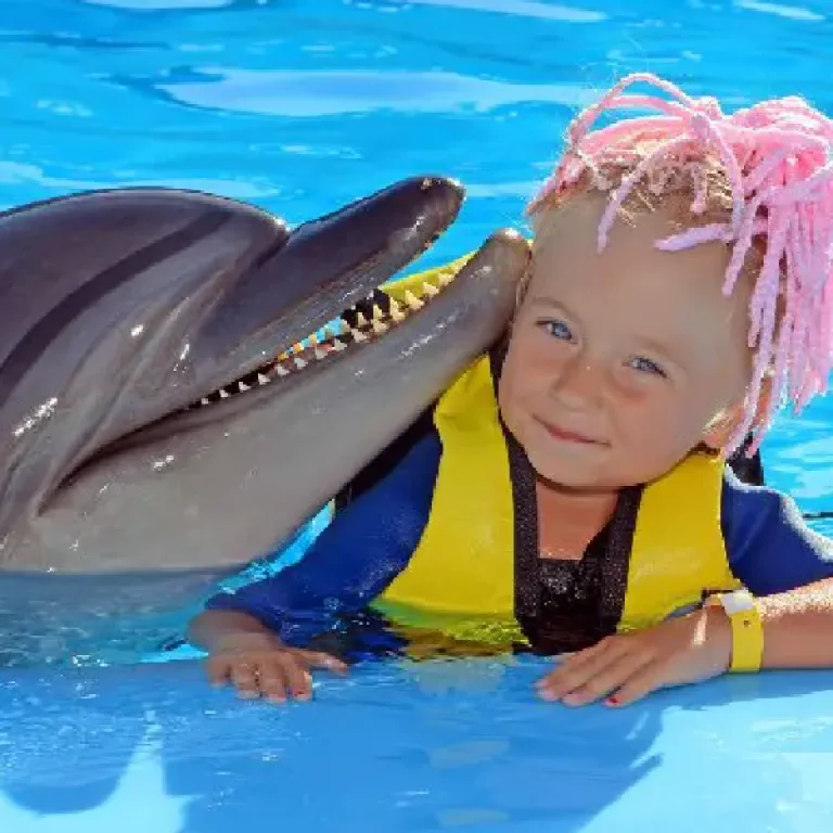 A female tourist kissing a dolphin in a pool during a personal dolphin swim experience in Hurghada